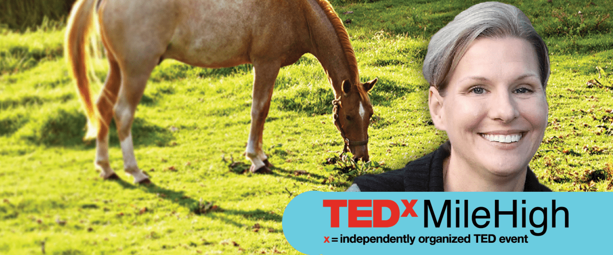 Molly McCue and horse