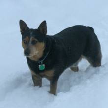 Yukon
