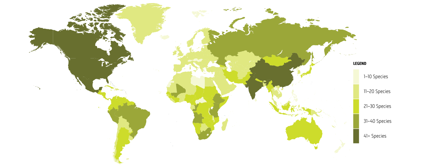 Global impact map_species by country