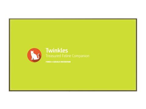 Image of a Memorial wall example cat, Twinkles