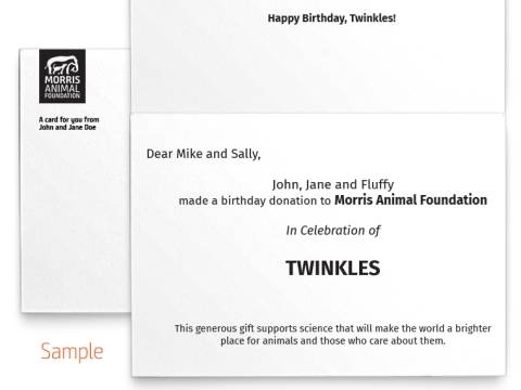Image of inside of the Horse Photo Birthday Card with sample text