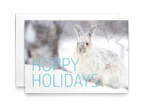 Image of front of the Holiday Card Wildlife