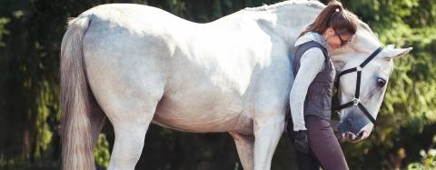 Horse