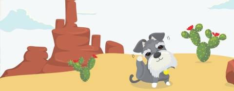 itchy dog and cactus
