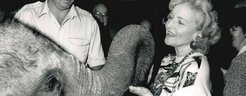 Betty White with an elephant