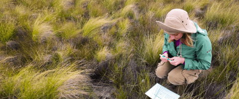 Research student in the field recording field notes 