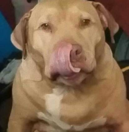 Maxx Thomas Profile Image