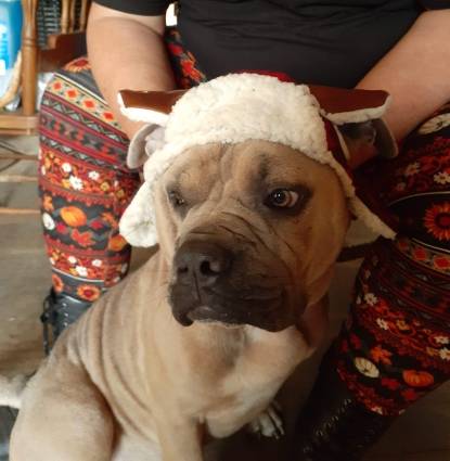 Dover Miles Profile Image