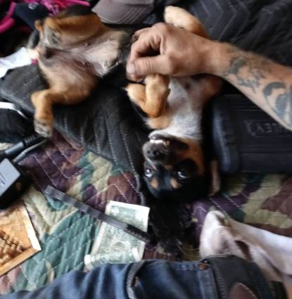 Bella  Profile Image