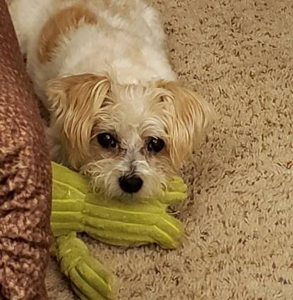 Rosie  Profile Image