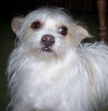 Sweetie Profile Image