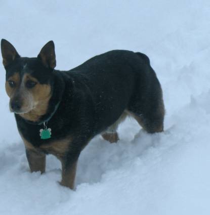 Yukon Profile Image
