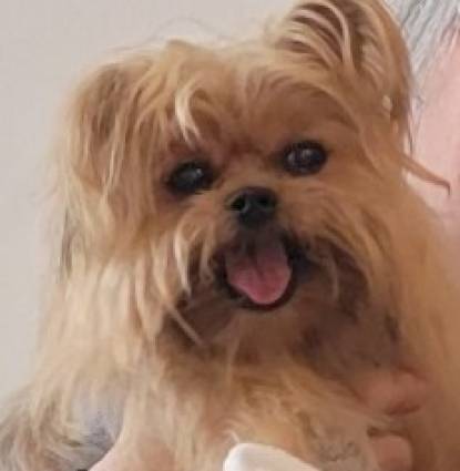 Mojo Profile Image