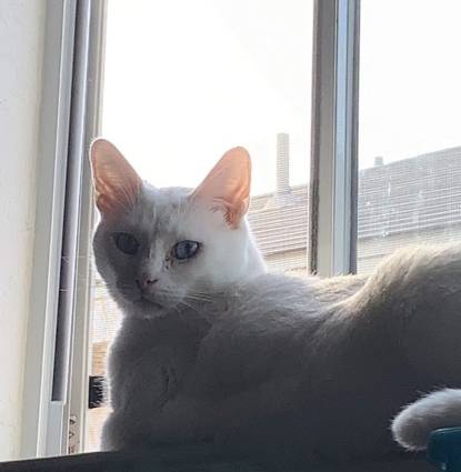 Troy Profile Image