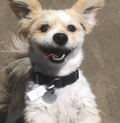 Marly Profile Image
