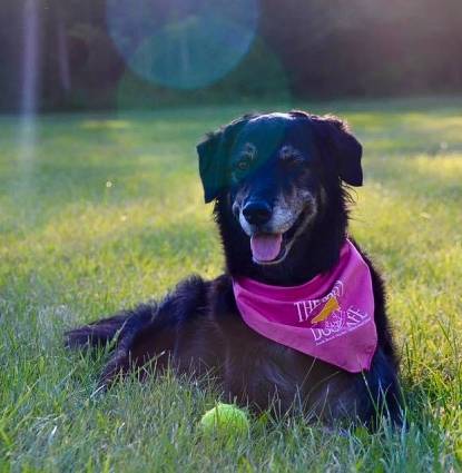 Ellie AKA Queen Eleanor the Great Profile Image