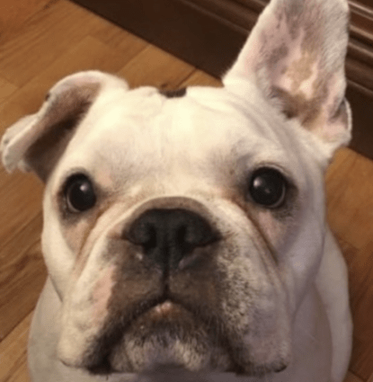 Rocky Profile Image