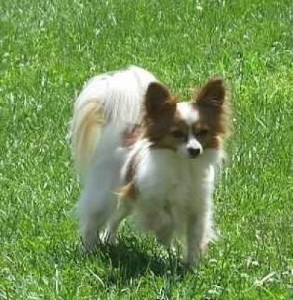 Lainey Profile Image