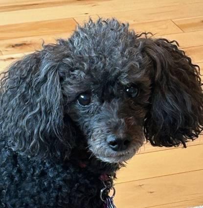 Gigi Profile Image