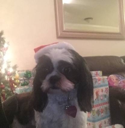 Bella Profile Image