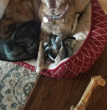 Abby Profile Image