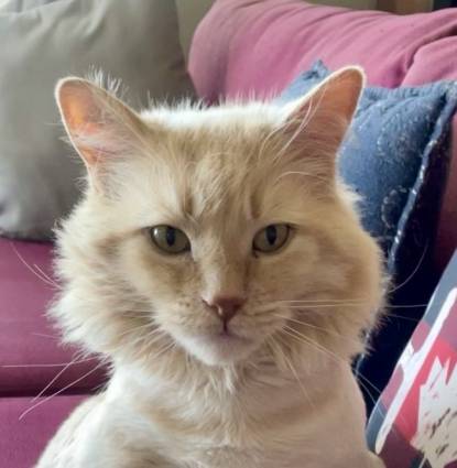 Mr. Tubbs  Profile Image