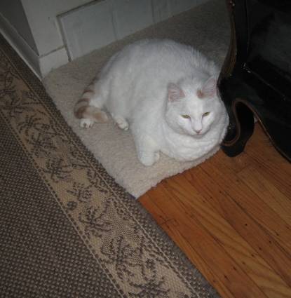 Butterball Profile Image