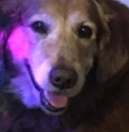 Marley Profile Image