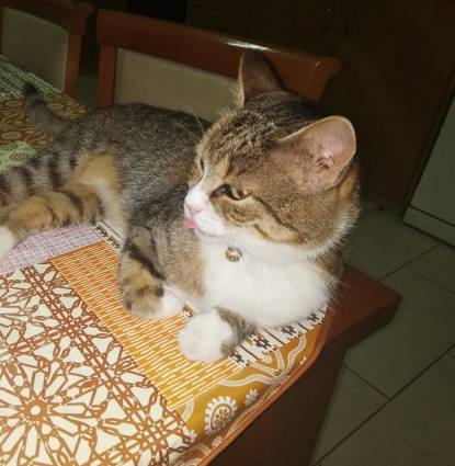 Tobby  Profile Image