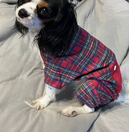 Josie  Profile Image