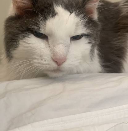 Ming Profile Image