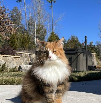 Gabby
