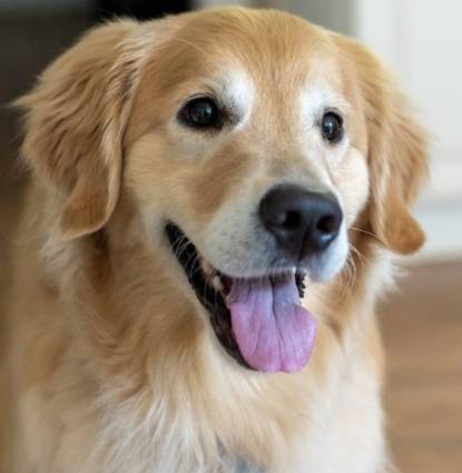Charlie  Profile Image