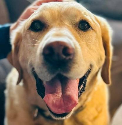 Buddy Profile Image