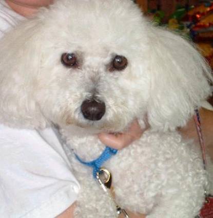 COOKIE PICCOLINA Profile Image