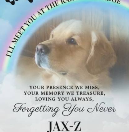 Jax-Z Profile Image