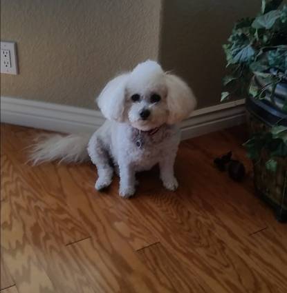 Molly Profile Image