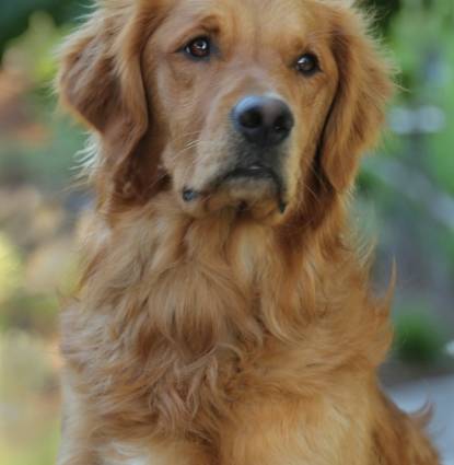 Jake Profile Image