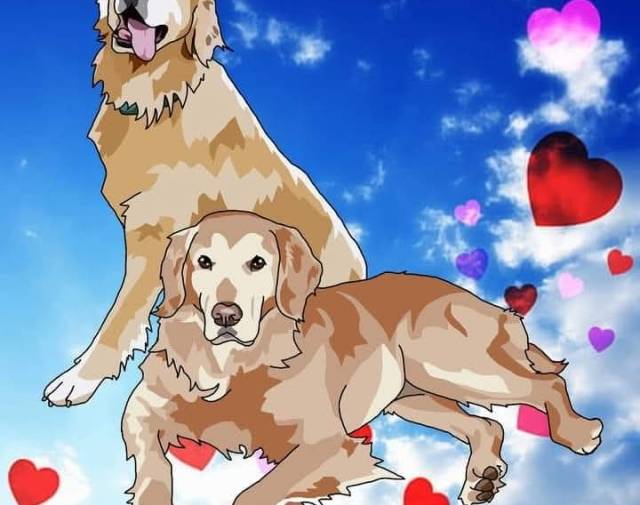 Jack and Wally Profile Image