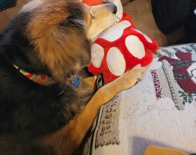 Brandi Gallery Image 4