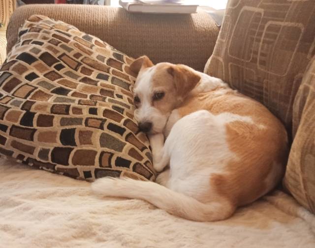 I love pillows