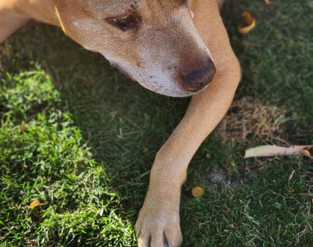 REZZI Gallery Image 1