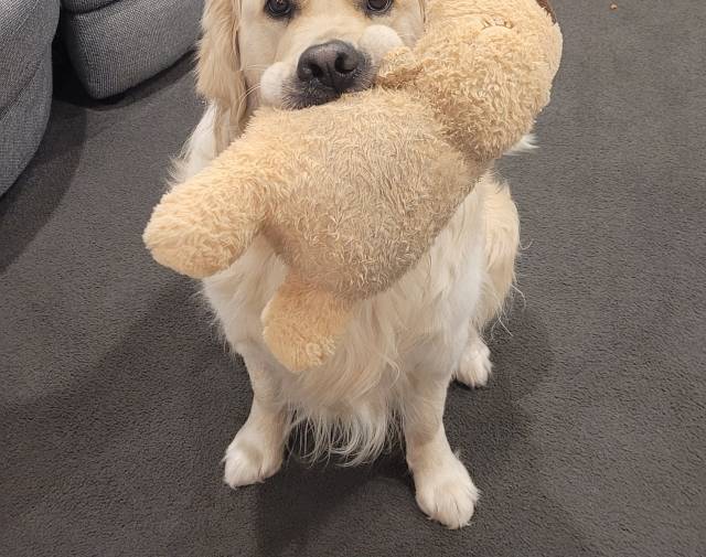 Chewy Profile Image