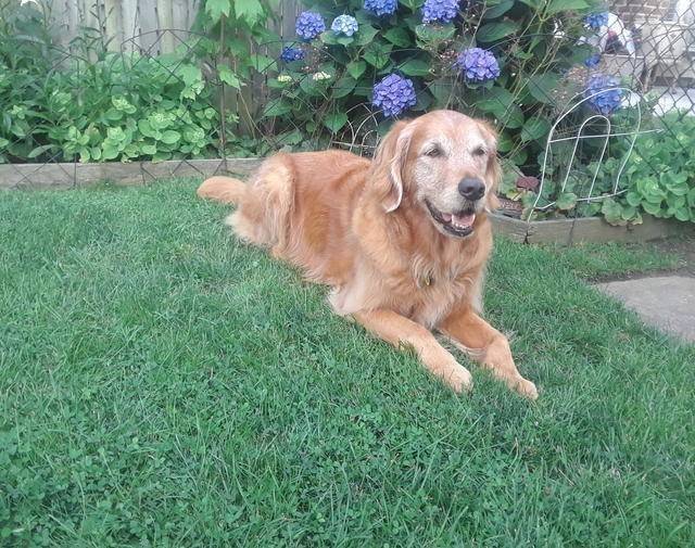Brody Hero #2976 Gallery Image 6