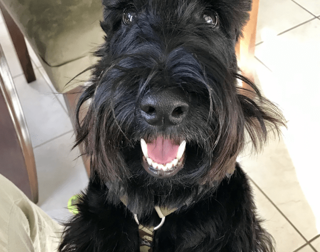 Asher Profile Image