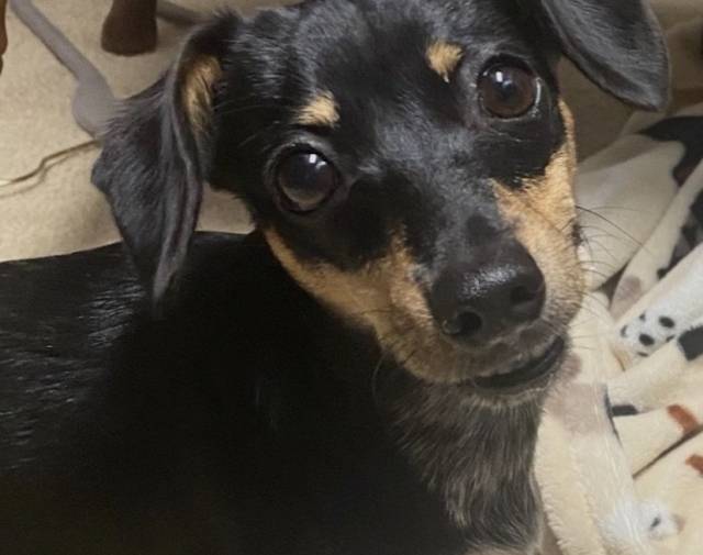 Bella Profile Image