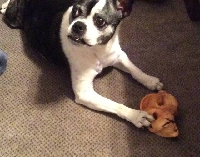 Gracie Girl Gallery Image 1
