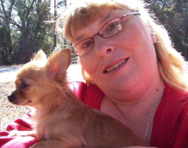 Dixie bell  Gallery Image 1