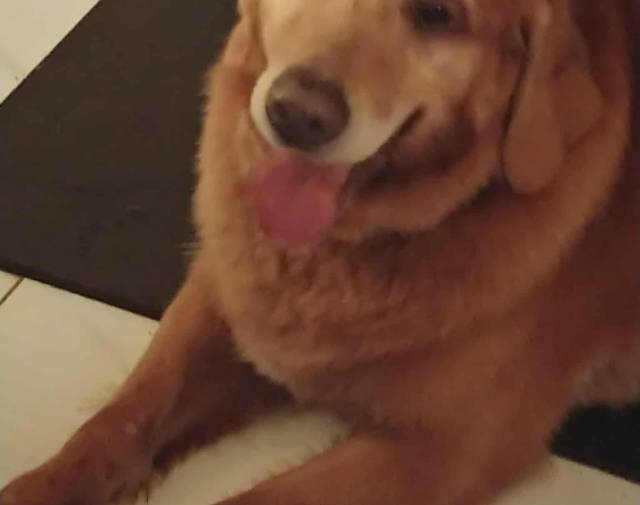 Buddy Profile Image