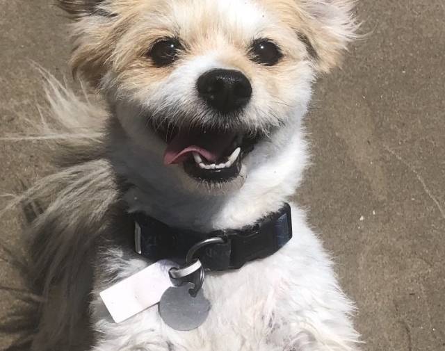 Marly Profile Image